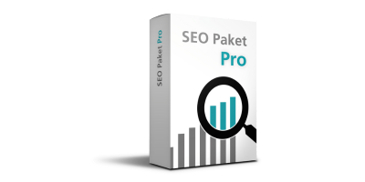 SEO Paket Pro image